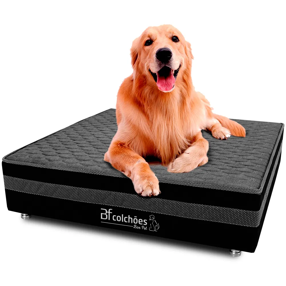 cama box para cachorros e gatos grande com um cachorro golden retriever deitado