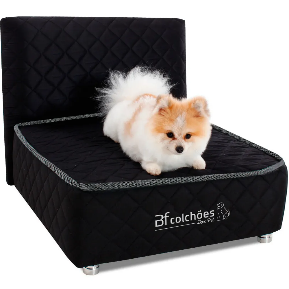 cama box pet com cabeceira e cachorro lulu da Pomerânia deitado