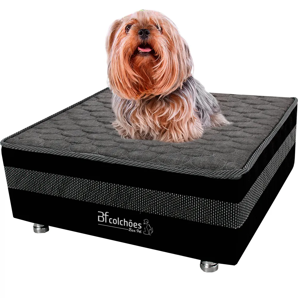 cama box pet com cabeceira e cachorro yorkshire deitado