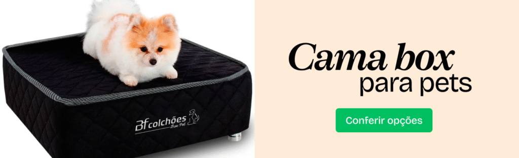 cama box pet emcompre